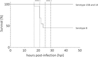 Meningitis-associated pneumococcal serotype 8, ST 53, strain is hypervirulent in a rat model and has non-haemolytic pneumolysin which can be attenuated by liposomes